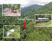 958 Cane Creek Rd, Sylva image
