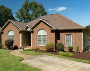 70 Noahs Drive, Pell City image