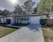 3229 Parkway Place, Palm Harbor image