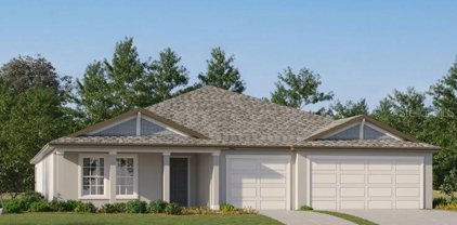 5033 Eagle Rock Drive, Wimauma
