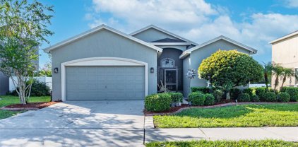 10550 Carloway Hills Drive, Wimauma
