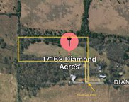 17163 Diamond Acres, Forney image