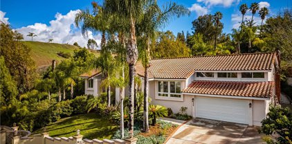384 S Country Hill Road, Anaheim Hills
