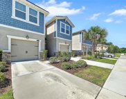 11528 Cambium Crown Drive, Riverview image