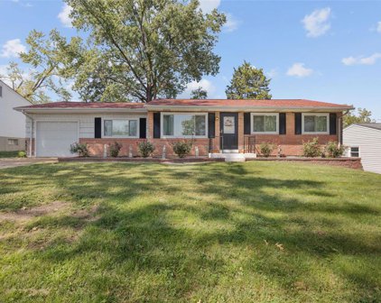 10521 Sonata  Drive, St Louis
