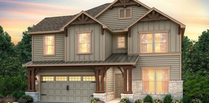 11623 Chalk Stem, Schertz