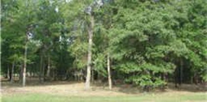 36911 Post Oak Circle, Magnolia