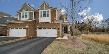 4275 Fiona Lane, Lisle