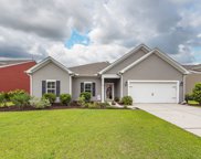240 Gazania Way, Charleston image