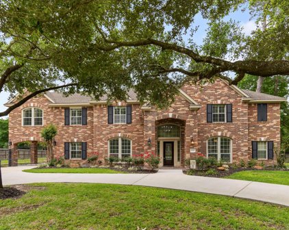 29730 Orchard Grove Drive, Tomball