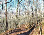 N/A Forgotten Pines Trail, Sylva image