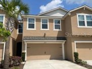 6223 Scarlet Darter Way, Tampa image