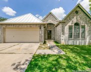 7803 Forest Dream, Live Oak image