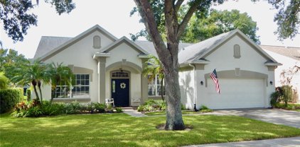 4360 Tremblay Way, Palm Harbor