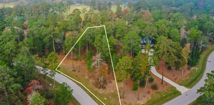 26106 Sandy Branch Way, Montgomery
