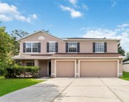 15212 Moultrie Pointe Road, Orlando image