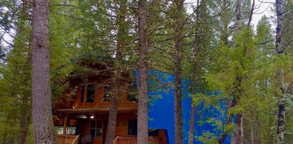 3520 S Beaver Springs Road, Island Park