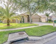 18944 Twinberry Drive, Tampa image