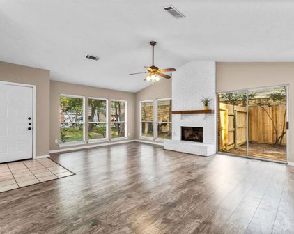 9 Briervine Court, The Woodlands