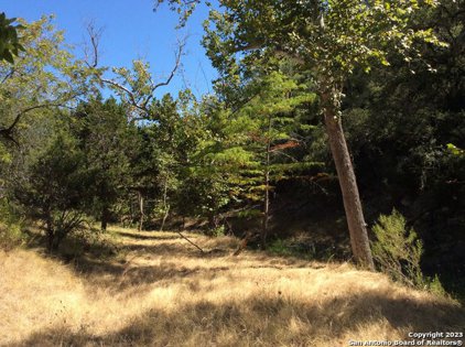2844 Bear Springs Rd, Pipe Creek