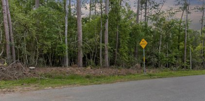 Lot 40 Carriage Hills West, Conroe
