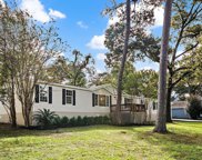 26205 Country Heights Street, Magnolia image