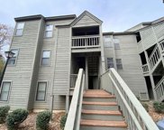 1441 Old Chapin Road Unit 931, Lexington image