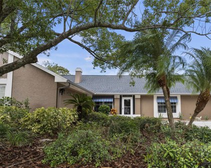 16602 Mandy Lane, Tampa