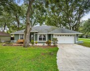 170 Quail Oaks Cir, Groveland image