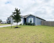 5722 Snapping Turtle Road, Cove image
