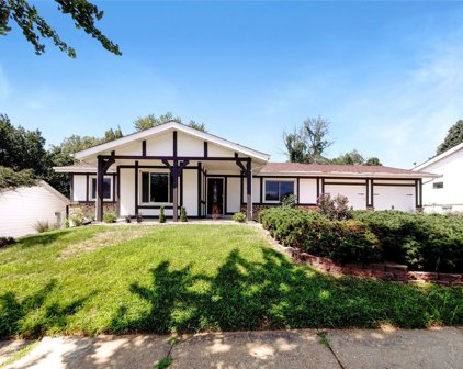 1227 Still House Creek  Road, Chesterfield