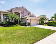 14108 Cattle Egret Place, Lakewood Ranch image