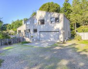 200 Screech Owl, The Sea Ranch image