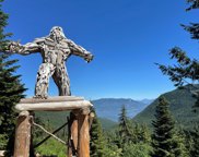 20732 Mount Keenan Road, Agassiz image