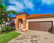 11834 Frost Aster Drive, Riverview image