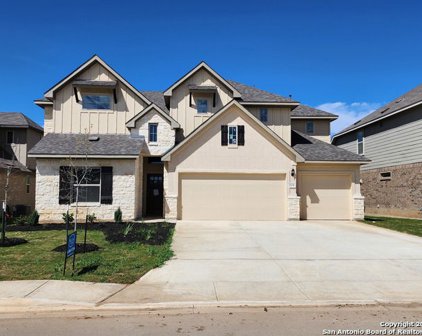 308 Proctor Grove, Cibolo