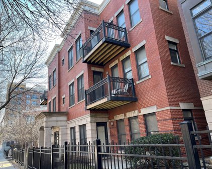 1500 S Halsted Street Unit #3A, Chicago