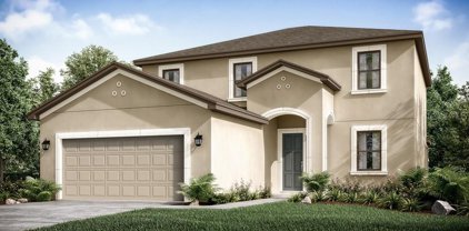 5621 Blue Reef Place, Nokomis