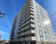 1029 E 8th Avenue Unit 1201, Denver image
