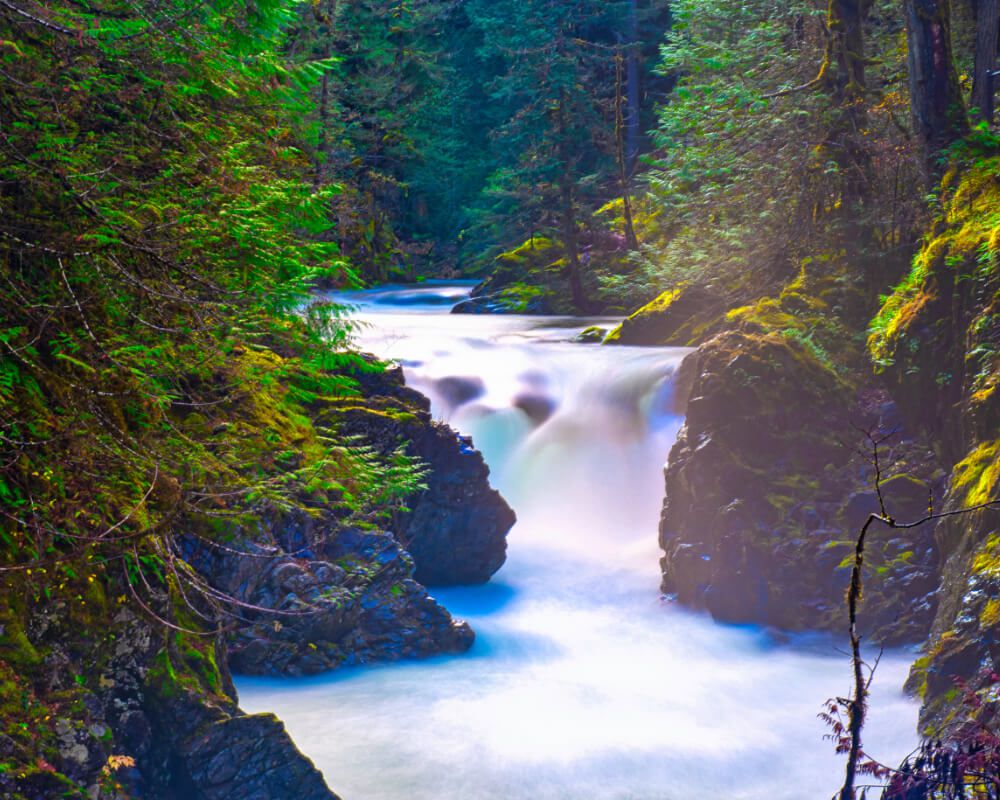 Qualicum Real Estate