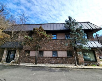 916 Somerset St, Watchung Boro