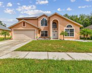 4412 Winding River Drive, Valrico image