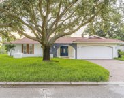 2057 Illinois Avenue Ne, St Petersburg image