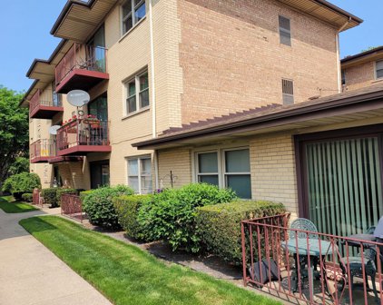 5509 W Higgins Avenue Unit #1C, Chicago
