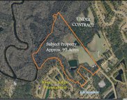 TBD 95 Acres Highway 90, Conway image