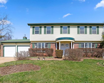 12851 Highstone  Drive, St Louis