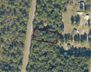 LOT 5 205TH LANE, Live Oak image