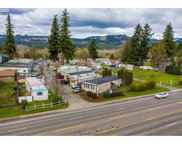 3224 HIGHWAY 20, Sweet Home image