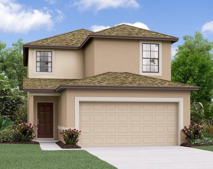 36537 Well Hill Way, Zephyrhills