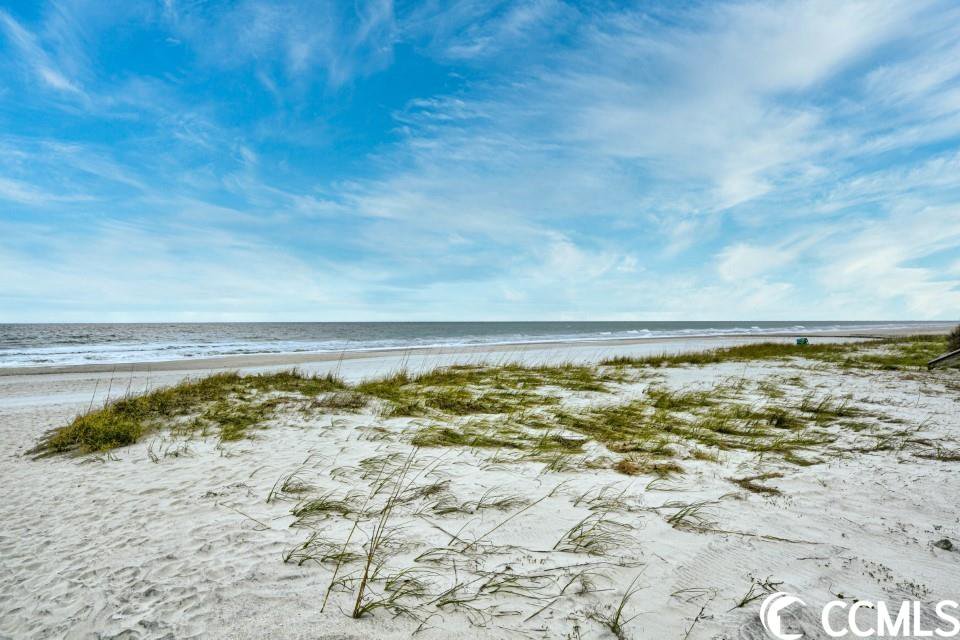 MLS 2305759 Carolina Dune 6810 N Ocean Blvd. Unit 505, Myrtle Beach